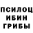 Псилоцибиновые грибы GOLDEN TEACHER Professor Green