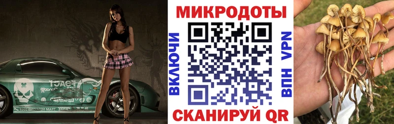 наркошоп Галич kraken зеркало Галлюциногенные грибы ЛСД